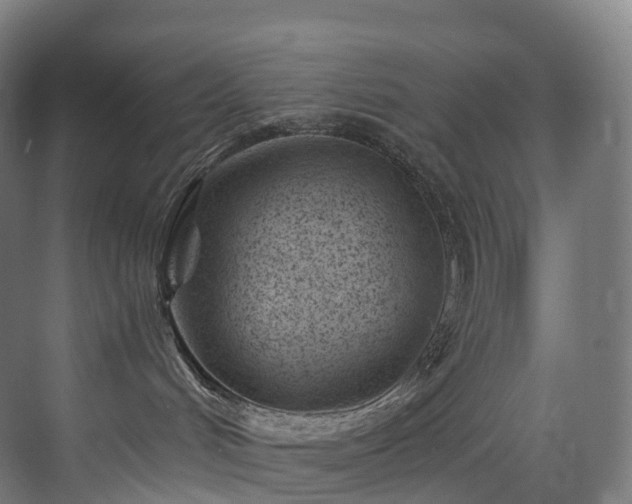 X0000075840048200609151316