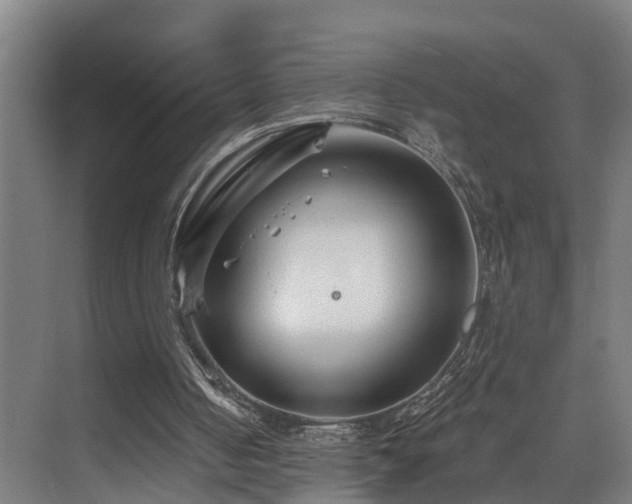 X0000075840050200609151315