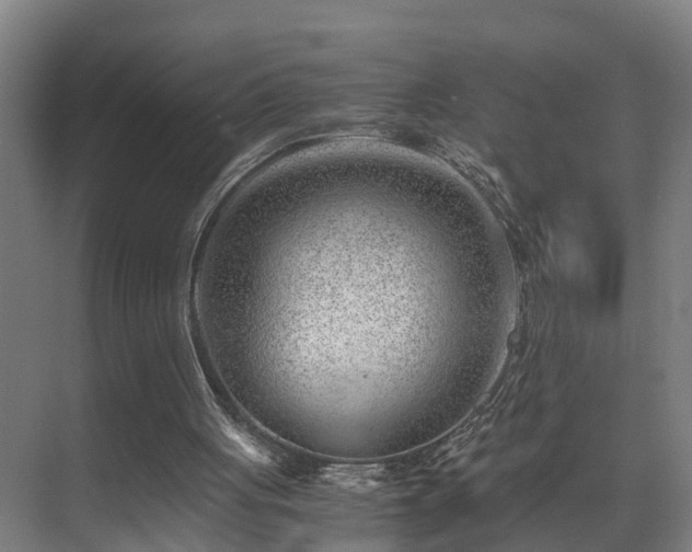 X0000075840051200609151315