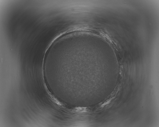 X0000075840052200609151315