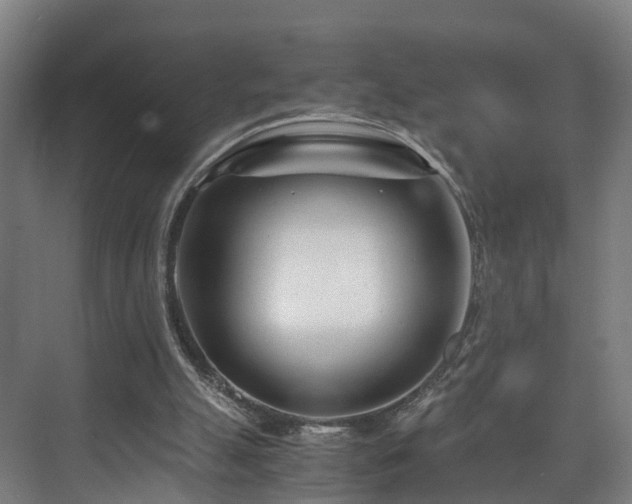 X0000075840055200609151315