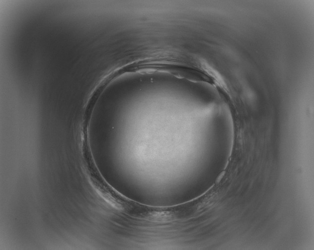 X0000075840059200609151315