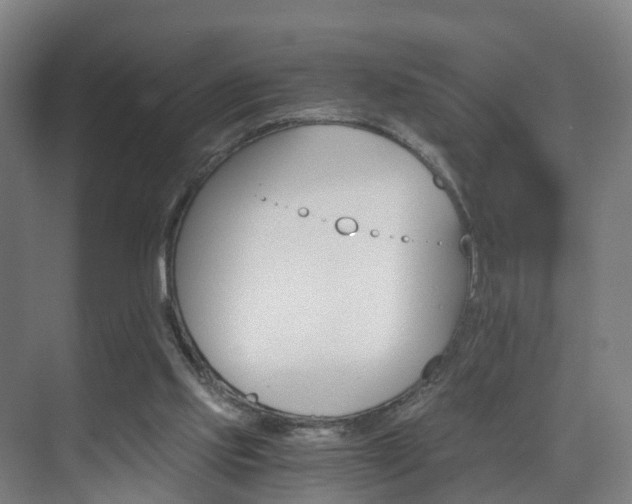 X0000075840061200609151315