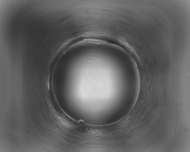 X0000075840062200609151315