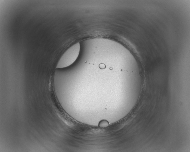 X0000075840065200609151315