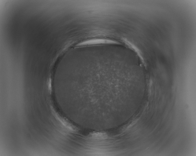 X0000075840067200609151315