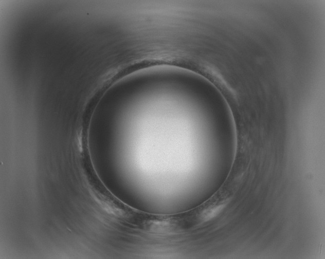 X0000075840068200609151315