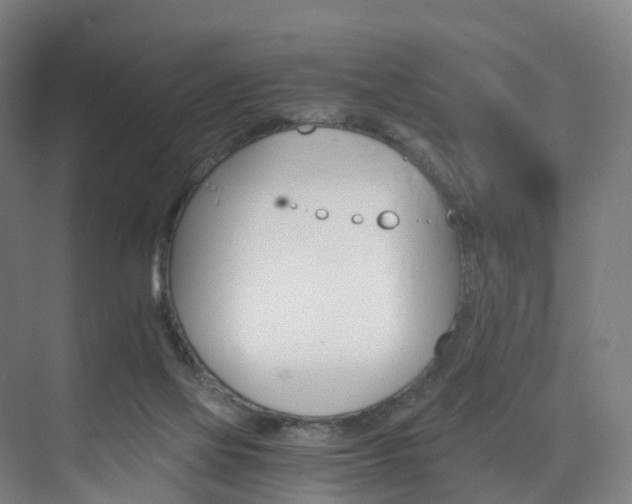 X0000075840069200609151315