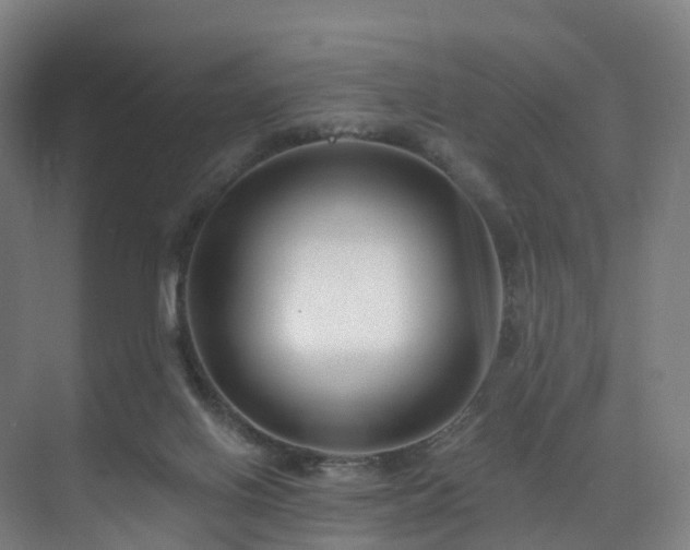 X0000075840070200609151315