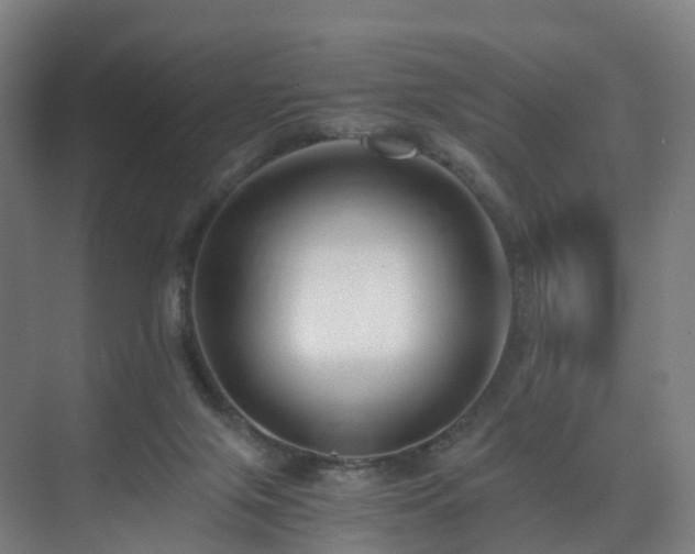 X0000075840071200609151315