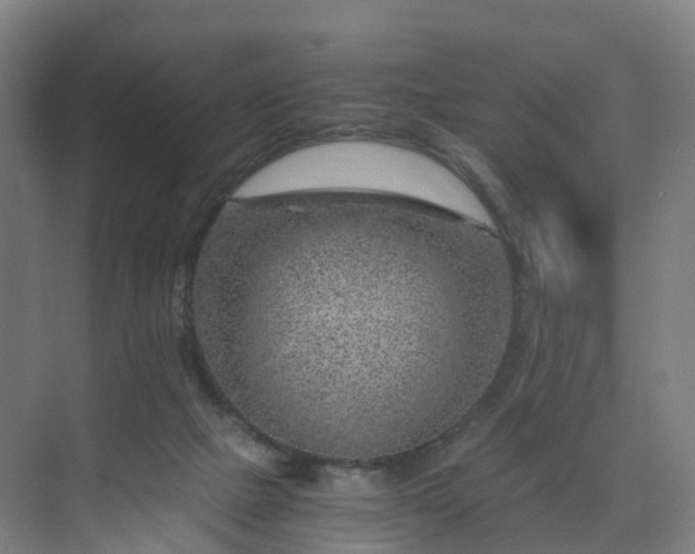 X0000075840073200609151315