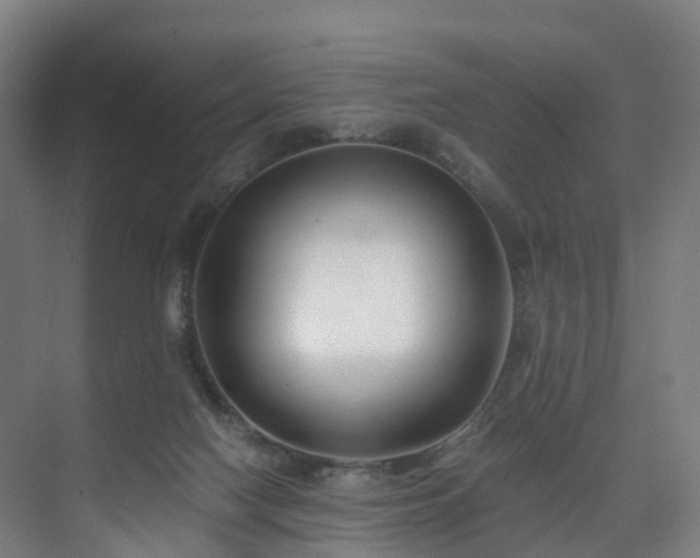 X0000075840074200609151315