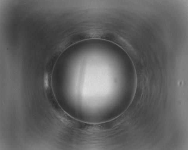 X0000075840075200609151315