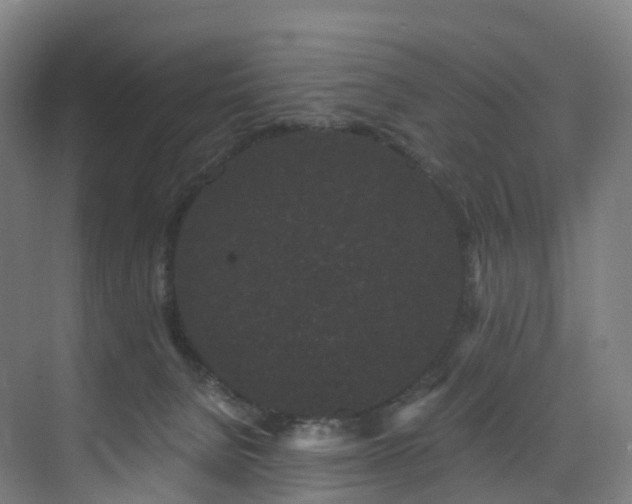 X0000075840080200609151315