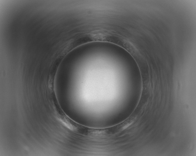 X0000075840081200609151315