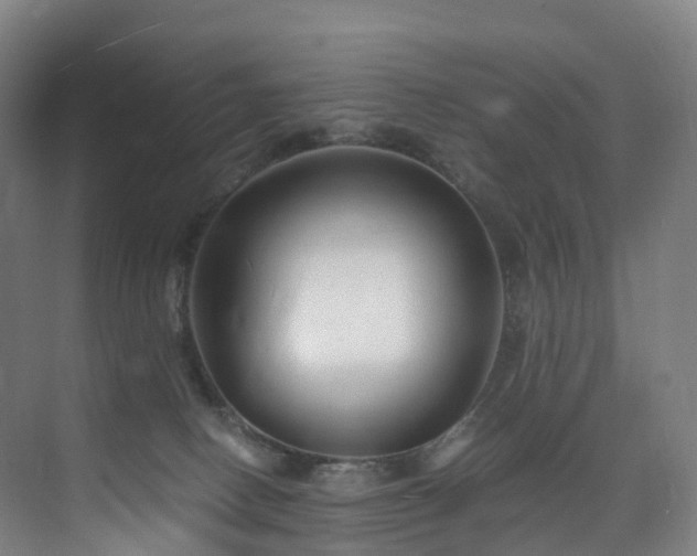 X0000075840082200609151315