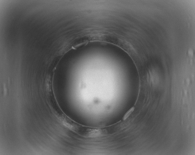 X0000075840083200609151315