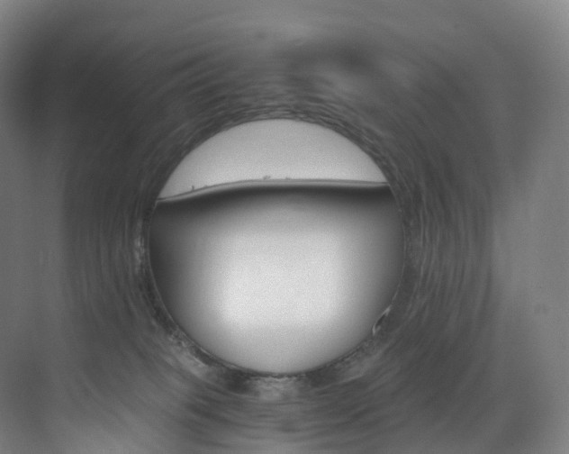 X0000075840085200609151315