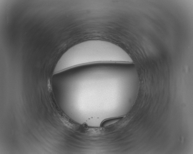 X0000075840089200609151316