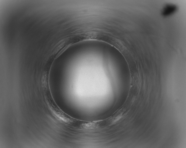 X0000075840092200609151316