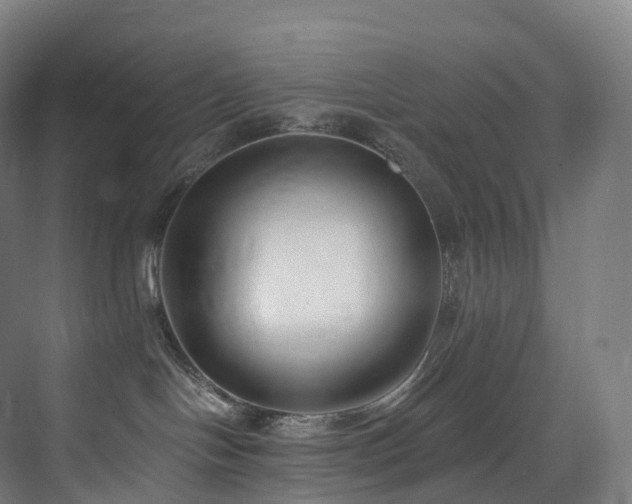 X0000075840094200609151316