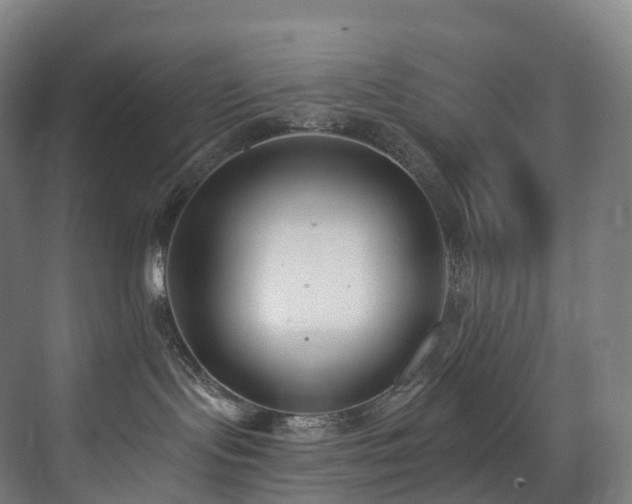 X0000075840095200609151316