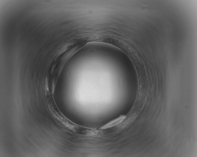 X0000075840096200609151316