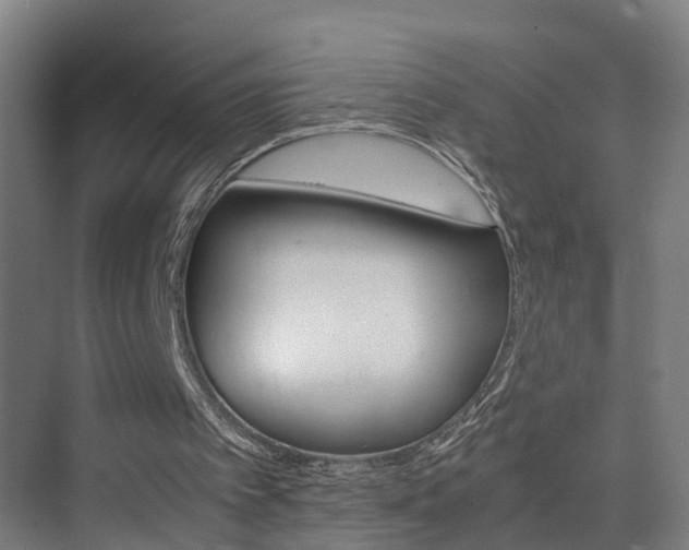 X0000075840097200609151315