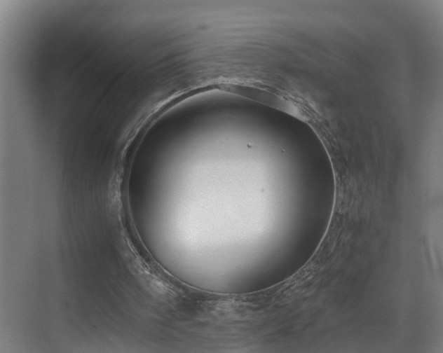 X0000075840098200609151315