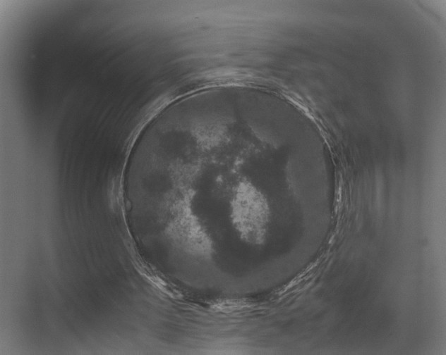 X0000075840099200609151315