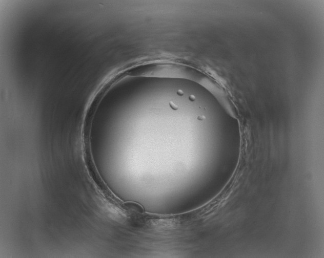 X0000075840102200609151315