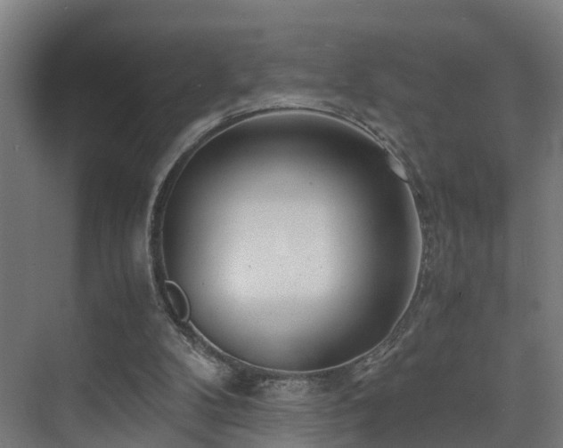 X0000075840104200609151315