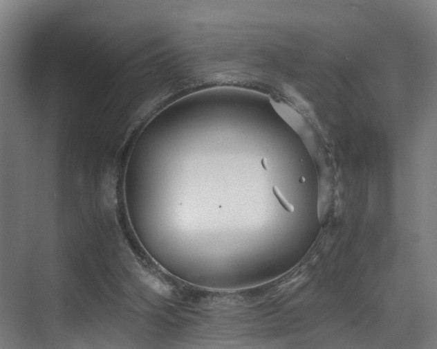 X0000075840106200609151315