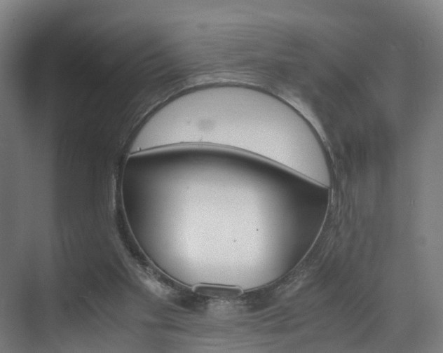 X0000075840109200609151315