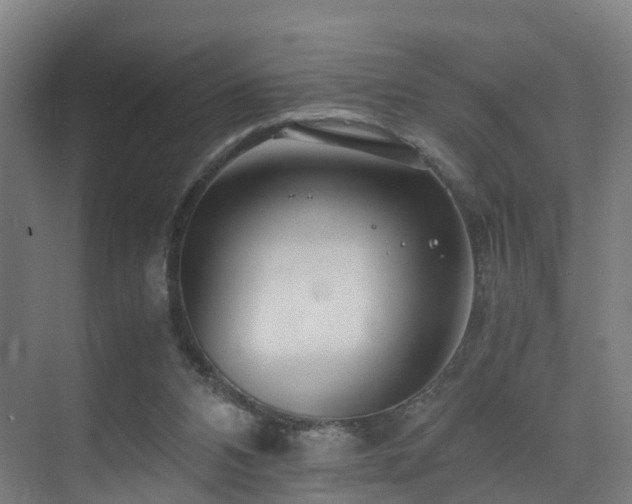 X0000075840112200609151315