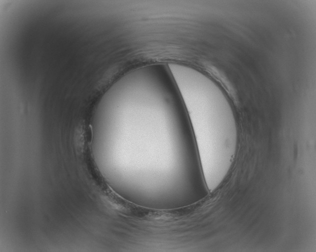 X0000075840113200609151315