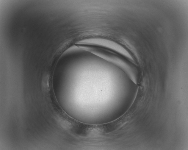 X0000075840115200609151315