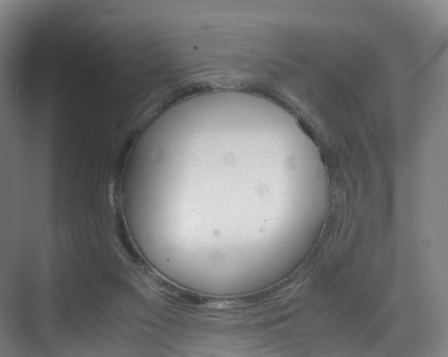 X0000075840117200609151314