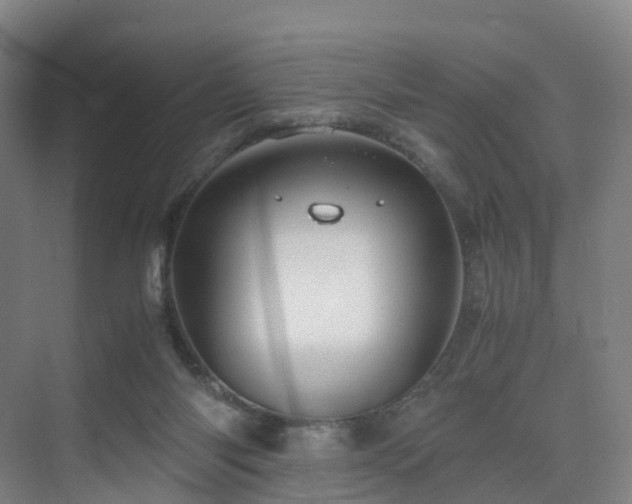 X0000075840118200609151314