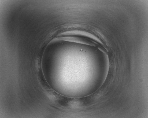 X0000075840119200609151314