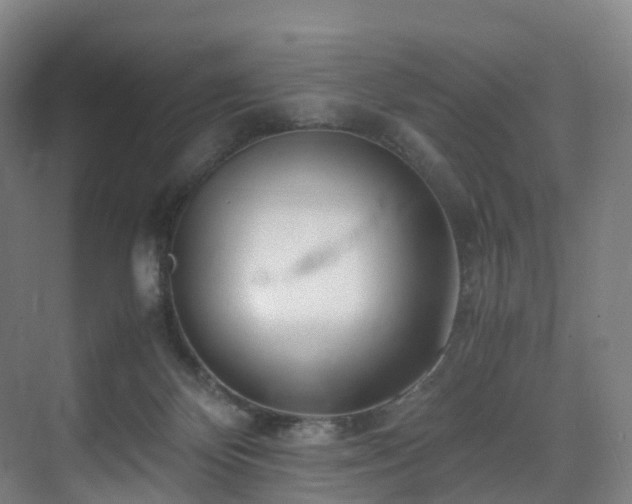 X0000075840124200609151314