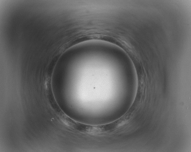 X0000075840125200609151314