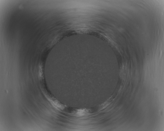 X0000075840130200609151314