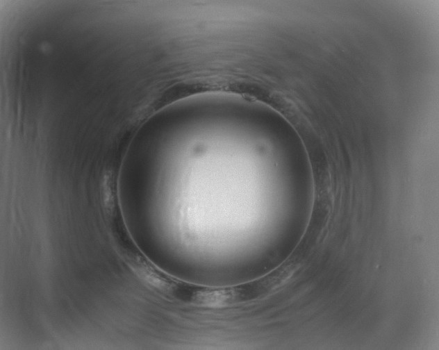 X0000075840131200609151314