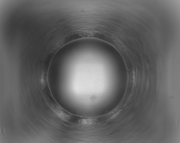 X0000075840134200609151314