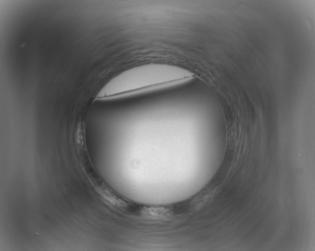 X0000075840137200609151314