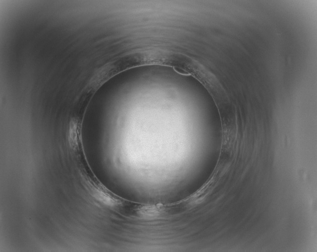 X0000075840142200609151314