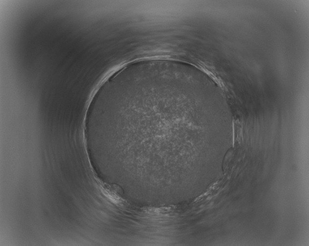 X0000075840147200609151313