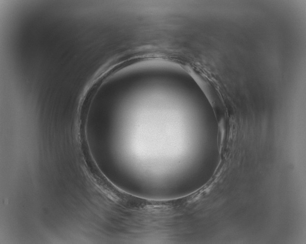 X0000075840150200609151313