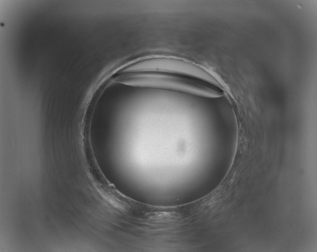 X0000075840151200609151313